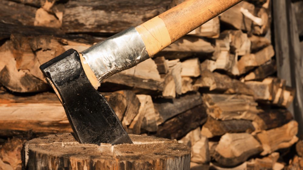 Nelegální těžba dřeva? Na Slovensku nasadí mobilní aplikaci